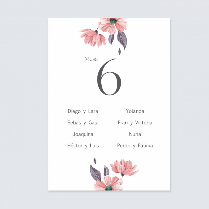 Seating Plan Camelia